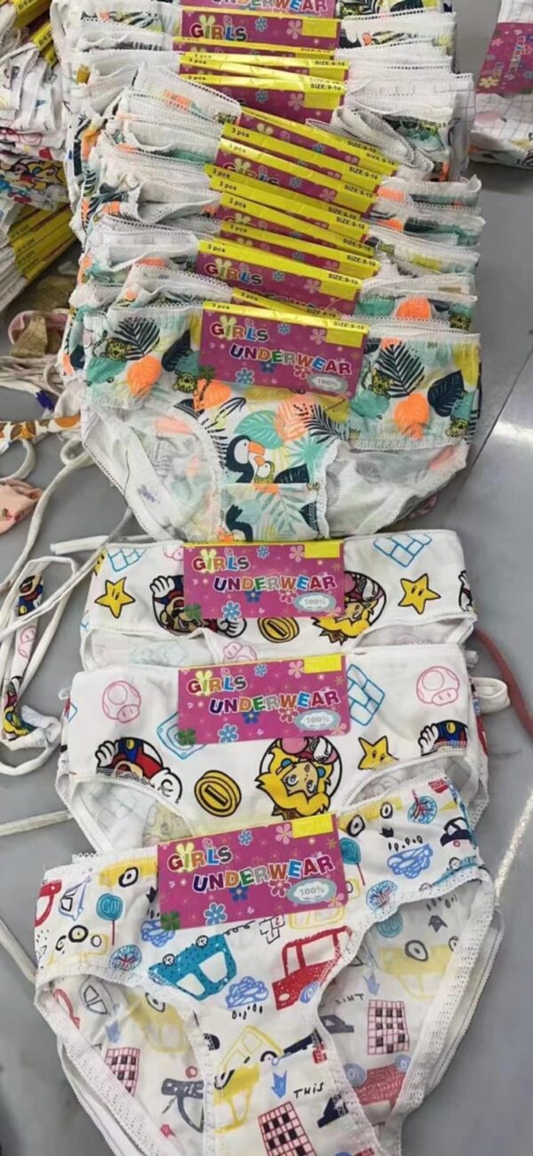 Girls Panties Bulk Bundle – 1000 Pieces for $600